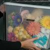 Cinta de etiquetas laminada dorada Brother TZe-334 en contenedor decorativo con flores