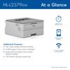 Brother HL-L2379DW wireless monochrome laser printer with mobile printing capability