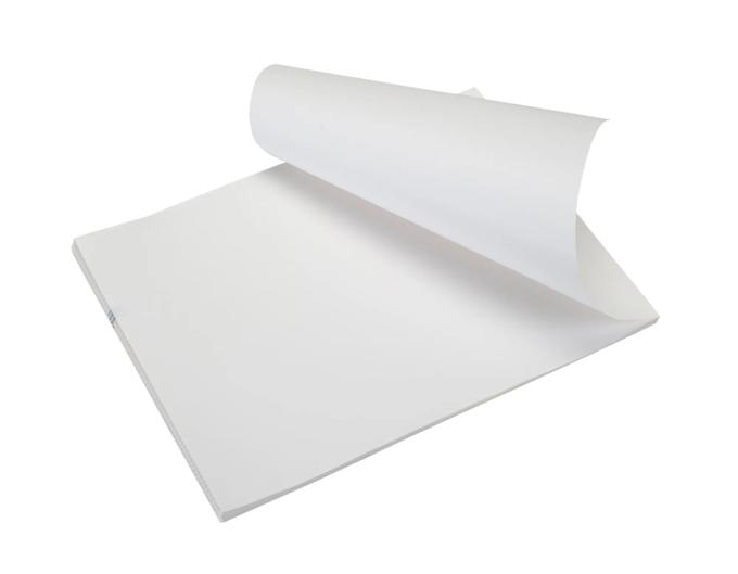 Brother label printer paper roll with perforated sheets on white background