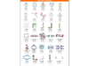 Brother embroidery machine design catalog showing floral and decorative border patterns
