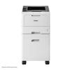 Brother laser printer with mobile tower stand and dual paper trays