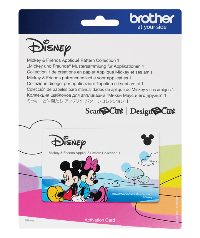 Empaque de tarjeta de activación de colección de patrones de apliques Disney Mickey y amigos Brother
