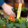 Custom-printed plant label reading Primrose in potted flowering plant with gardener in background