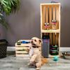 Brother wireless speaker with golden retriever in modern home setting