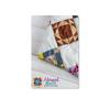 Advanced Quilt Design Software packaging with colorful patchwork quilt on white wooden surface
