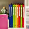 Organized office binders with labeled tabs for invoices, clients, taxes, travel, and financial records