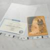 Brother CSA3301 scanner carrier sheets with vintage photo and document samples