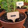 Brother laminated plant labels in terracotta pots with rosemary and thyme herbs