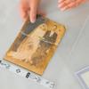 Brother scanner carrier sheet protecting vintage photograph during scanning