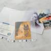Brother CSA3301 scanner carrier sheets with vintage photo and document samples