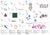 Brother embroidery pattern catalog showing seasonal designs with dimensions